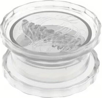 Alista Home Knoblauchpresse aus Kunststoff 7,5cm