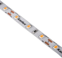 Banda LED 12V Lcob 8W/M 12 IP00-NW 760LM/M 4000K Culoare Neutră 33366 Banda LED 12V Lcob 8W/M 12 IP00-NW 760LM/M 4000K Culoare Neutră 33366