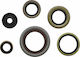 Moose Racing Σετ Τσιμούχες Κινητήρα 822348mse Kit