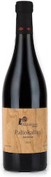 Oinopoieio Kokkinos Paliokalias Rotes Trocken 750ml Oinopoieio Kokkinos Paliokalias Rotes Trocken 750ml