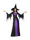 Carnival Witch Costume