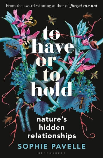 To Have Or To Hold - Bloomsbury Publishing Plc - Hardback
