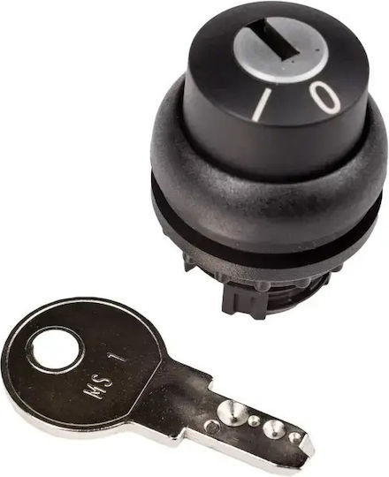 Schalterantrieb 2 Schalter Kein Selbstrückkehrschlüssel M22s-wrs 216889
