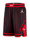 Chicago Bulls Statement Edition Swingman 2025 Men's Basketball Fan Shorts