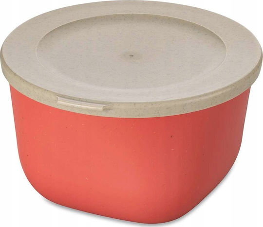 Koziol Koziol Kunststoff Mittagsbox 1lt