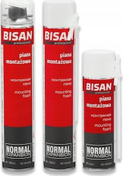 Bisan Πιστόλι Αφρού Αέρος 750ml