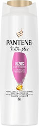 Pantene Шампоан Ch Rizos 250 Ml