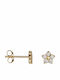 Gold Stud Earrings with Stones