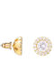 U.S. Polo Assn. Earrings