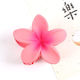 Hair Claw Clip with Flower