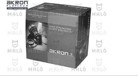 Φουσκα Μπιλιοφορου Citroen Ax-saxo-106 20x72x106 329308 18315klr-10054