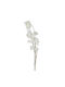 Florista Zweigstelle Blumen Kirsche 116cm Weiß Weiß Tiefe 28cm X Breite 9cm X Höhe 116cm