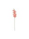 Florista Gladiole 75cm Portocalii Adâncime 12cm X Lățime 12cm X Înălțime 75cm