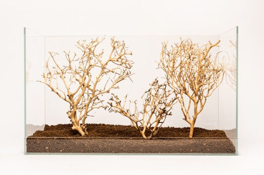 Tropical Aquarium Wood Piece Aquadeco Coral Tree M 20–30 Cm
