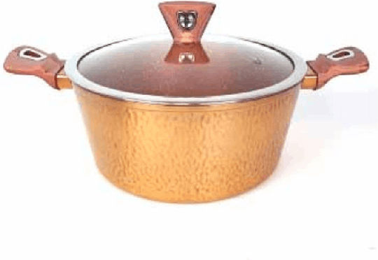 Runde Untiefe Dampfgaren Töpfe