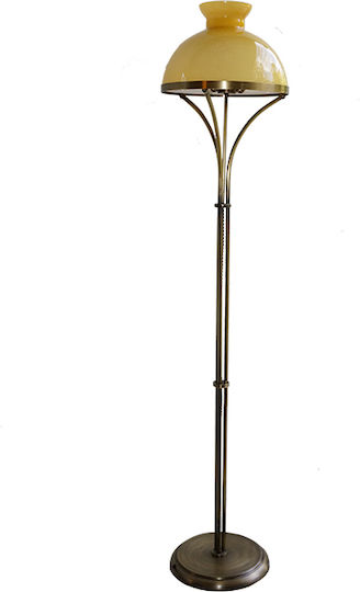 DITS Lighting Bronze Floor Lamp