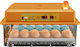 Αυτόματη Κλωσσομηχανή 36 Aυγών