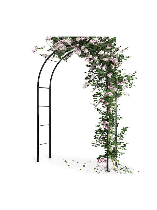 Αψίδα Κήπου από Μέταλλο 145x38x235cm Μπρούτζινη 339398