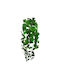 Hanging Artificial Greenery Devil's Ivy 120cm A26941