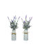 Topfpflanze Lavendel 13x13x32cm