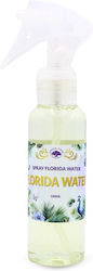 Green Tree Candle Company Raumdüfte Spray 100ml