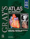Gray's Atlas Of Anatomy