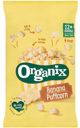 Organix 10gr 4τμχ