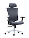 Executive Office Chair with Arms Gray
