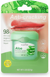 Balsam de Buze cu Aloe Vera Sadoer 7g Balsam de Buze cu Aloe Vera Sadoer 7g