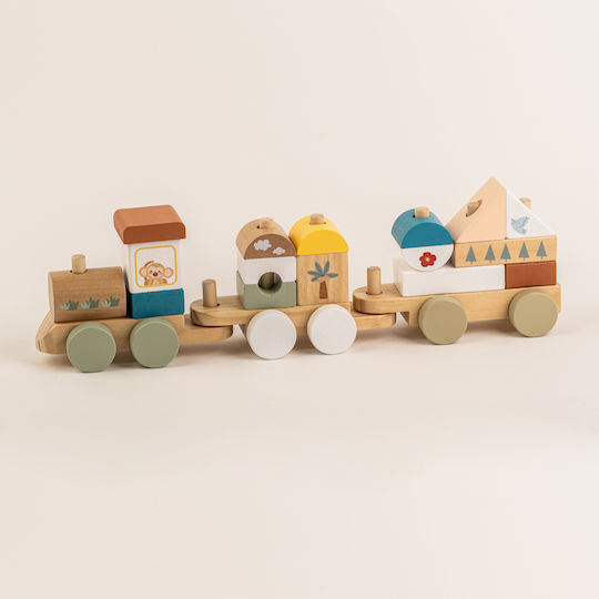 Wooden Train Geometric Shapes