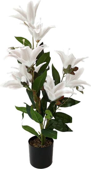 Potted White Flower 74cm Potted White Flower 74cm