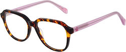 Benetton Optical Frame Beo1112 177 53