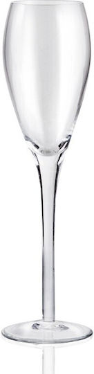 Champagnerglas aus Glas Kelch T5524A