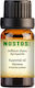 Nostos Pure Davana Artemisia Ätherisches Öl Zitrone 50ml