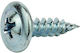 Helix Sheet Metal Screw with Diameter M4.2 and Length 16mm 1200 Pieces