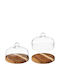 Atmosphera Suport Pentru Prăjituri Transparent 28x19 cm