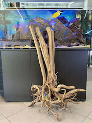 Tropische Hölzernes Aquariendekorationen Hs Aqua Woodstump 100-150 Cm 6.1kg 7.1kg Tropische Hölzernes Aquariendekorationen Hs Aqua Woodstump 100-150 Cm 6.1kg 7.1kg