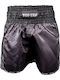 Kickboxing Shorts Top Ten Dragon