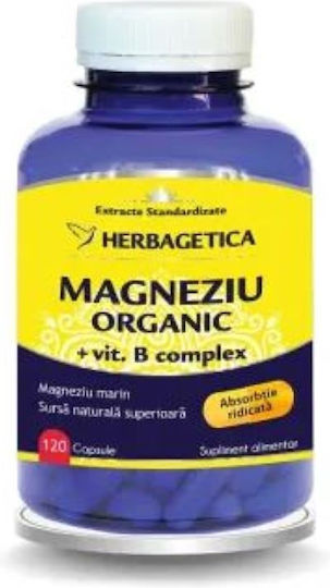 Herbagetica Magneziu Organic Cu Complex De Vitamine B 192.5mg Potrivit Pentru Copii 120 Capsule