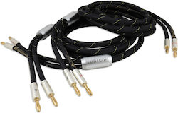Ludic Atla Loudspeakercable 2pcs 3m
