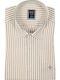 Long Sleeve Shirt In Regular Fit Striped Mint