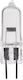 Halogen Bulb 24V 10W