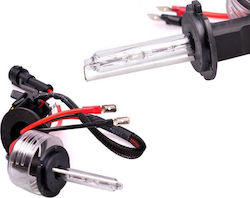 Carner Λάμπα H7 Xenon Ψυχρό Λευκό Carner Λάμπα H7 Xenon Ψυχρό Λευκό
