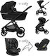 Beboulino Tortoni Umkehrbar 3 in 1 Baby Kinderw...