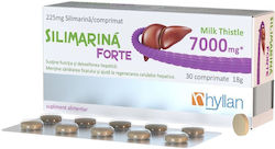 Hyllan Pharma Silimarina Forte 30 Ταμπλέτες Hyllan Pharma Silimarina Forte 30 Ταμπλέτες