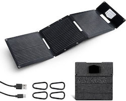 Monocristalină 30W