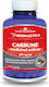 Cărbune medicinal activat 120 capsule