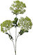 Decorațiune Ramură Mărar Verde Culoare 24x12x87cm