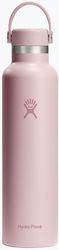 Hydro Flask Cap Hydro Flask Cap
