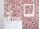 Partydekorationen Backdrop Rose Gold Blumen